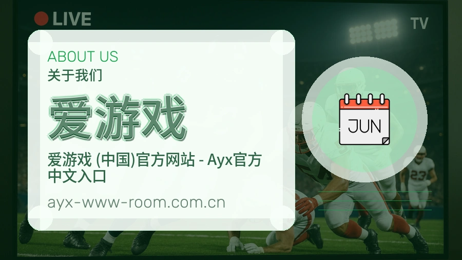 爱游戏安全认证与赛事覆盖展示